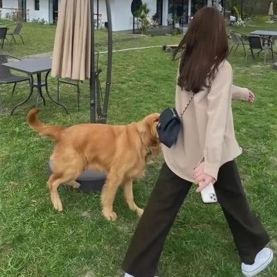 翻转吧!街舞宇宙
